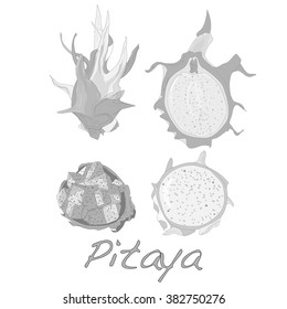 Pitaya or Dragon Fruit isolated against white background. Vector