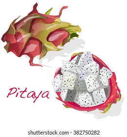 Pitaya or Dragon Fruit isolated against white background. Vector