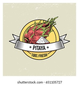 Pitaya or Dragon fruit Vintage, hand drawn fresh fruits background, summer plants, vegetarian and organic citrus and other, engraved