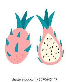 Pitaya flat cartoon illustration. Vector illustration of Dragon fruit.