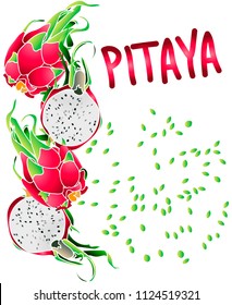 Pitaya fruit banner