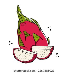 Fruto de Pitaya. Diseño exótico de frutas de dragón sobre fondo blanco. Frutos de verano para un estilo de vida saludable. Ilustración del vector
