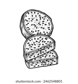 Pitaya fruit sliced piece. Vector sketch of pitahaya or realistic dragon fruit hand drawn. Asian cuisine or vegetarian meal for recipe book. Vegan diet tropical ingredient. Dragonfruit harvest
