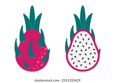 Pitaya-Frucht. Tropische exotische Sommer-Drachenfrucht, Bio-vegetarische frische Drachenfrucht. Vektorgrafik einzeln auf weißem Hintergrund