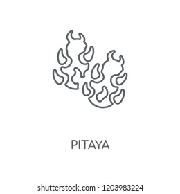 Pitaya linear icon. Pitaya concept stroke symbol design. Thin graphic elements vector illustration, outline pattern on a white background, eps 10.