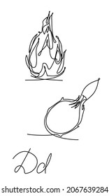 Pitaya one line. Dragon fruit one continuous line illustration. Linear art, tropical set.