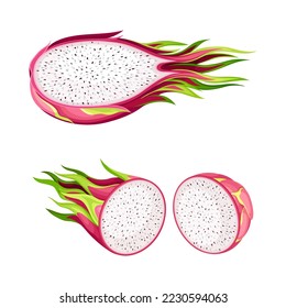 Pitaya or Pitahaya Fruit of Cactus Species with White Flesh and Black, Crunchy Seed Vector Set