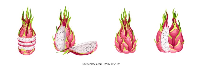 Pitaya or Pitahaya Fruit of Cactus Species with White Flesh and Black, Crunchy Seed Vector Set