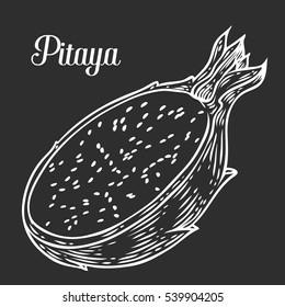 Pitaya Sketch of tropical dragon fruit. Exotic pink pitahaya fruit with green leaves on the top. Tropical cocktail recipe, juice dessert smoothie packaging pitaya design