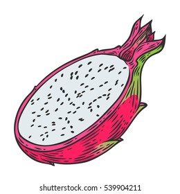 Pitaya Sketch of tropical dragon fruit. Exotic pink pitahaya fruit with green leaves on the top. Tropical cocktail recipe, juice dessert smoothie packaging pitaya design