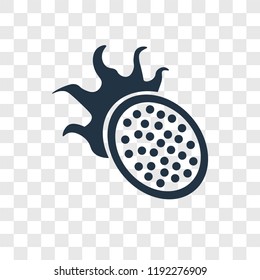 Pitaya vector icon isolated on transparent background, Pitaya transparency logo concept