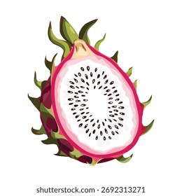 Pitaya, Ilustración vectorial. Aspectos destacados, sombras, diseño vibrante.
