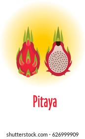 Pitaya. Vector illustration. The whole of Pitaya and half of the fruit.