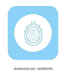 fondo blanco pitaya, vector de icono