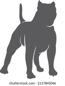 Pitbul dogs are the most ferocious dogs ever. This dog is short but sturdy.