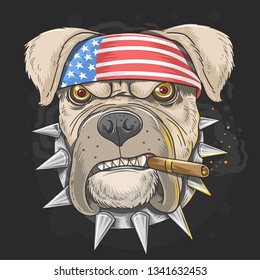 PITBULL AMERICA FLAG HEAD PUNK