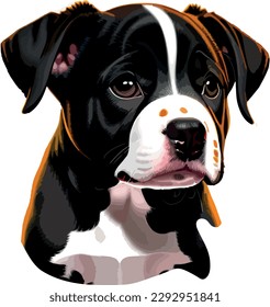 Pitbull breed dog vector head, isolated, transparent background