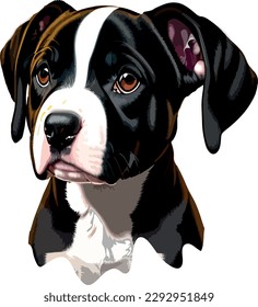 Pitbull breed dog vector head, isolated, transparent background