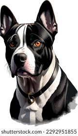 Pitbull breed dog vector head, isolated, transparent background