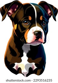 Pitbull breed dog vector head, isolated, transparent background