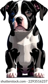 Pitbull breed dog vector head, isolated, transparent background