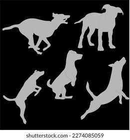 Pitbull, bulldog, terrier, dog animal silhouettes, icon, logo