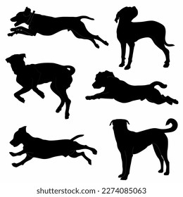 Pitbull, bulldog, terrier, dog animal silhouettes, icon, logo