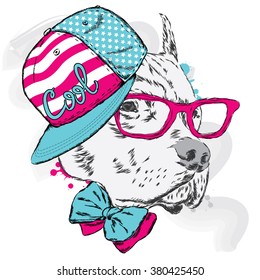 Pitbull in cap and tie. Dog vector.