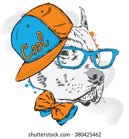 Pitbull in cap and tie. Dog vector. 
