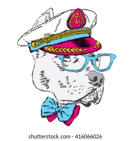 Pitbull in the captain's cap. Funny dog. Vector illustration.