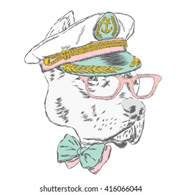 Pitbull in the captain's cap. Funny dog. Vector illustration.