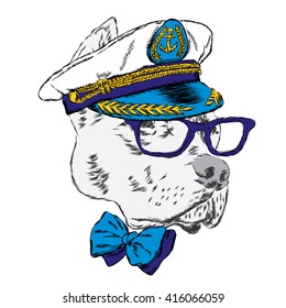 Pitbull in the captain's cap. Funny dog. Vector illustration.