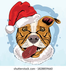 Pitbull in a Christmas hat sticking out its tongue premium vector illustration