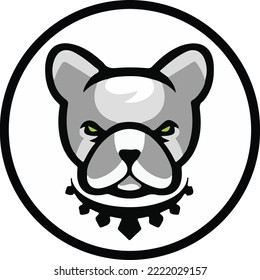 Pitbull coin meme crypto currency vector illustration