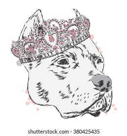 Pitbull in the crown. Dog vector. Vector illustration for greeting card, poster, or print on clothes.