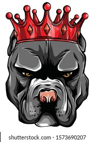 Pitbull in the crown on white background. Vector illustration.