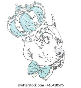 Pitbull in the crown. Vector illustration.