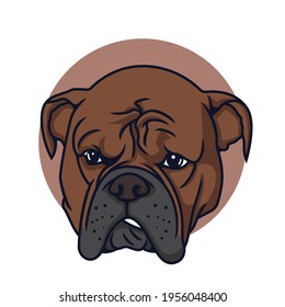 Pitbull Disappointed Vector Illustration on Isolated Background