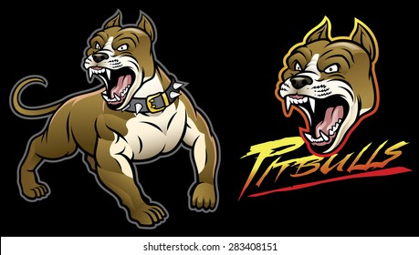 Pitbull Dog Angry