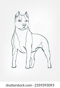 Pitbull dog breed animal vector line art one line sketch outline