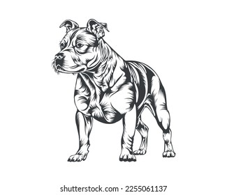 Pitbull Dog Breed Vector Illustration, Pitbull Dog Vector on White Background for t-shirt, logo and others