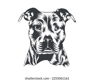 Pitbull Dog Breed Vector Illustration, Pitbull Dog Vector on White Background for t-shirt, logo and others