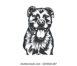 Pitbull Dog Breed Vector Illustration, Pitbull Dog Vector on White Background for t-shirt, logo and others