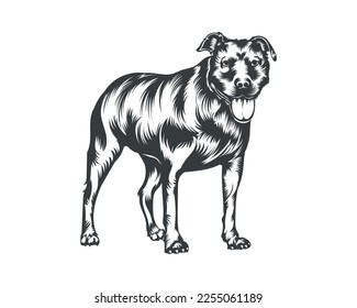 Pitbull Dog Breed Vector Illustration, Pitbull Dog Vector on White Background for t-shirt, logo and others