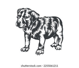 Pitbull Dog Breed Vector Illustration, Pitbull Dog Vector on White Background for t-shirt, logo and others