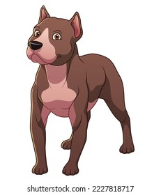 Pitbull Dog Cartoon Animal Illustration