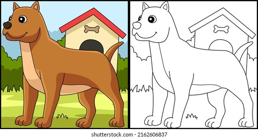 Pitbull Dog Coloring Page Colored Illustration