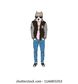 Pitbull dog dressed up in modern city swag style, anthropomorphic animal illustration