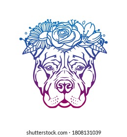 Pitbull Dog Face Rose Flower With Vintage Pet Design. Floral Frame Ornament Vector Style. Decoration Design Wreath Illustration.