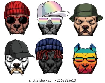 Pitbull dog fashion set collection for your company or brand